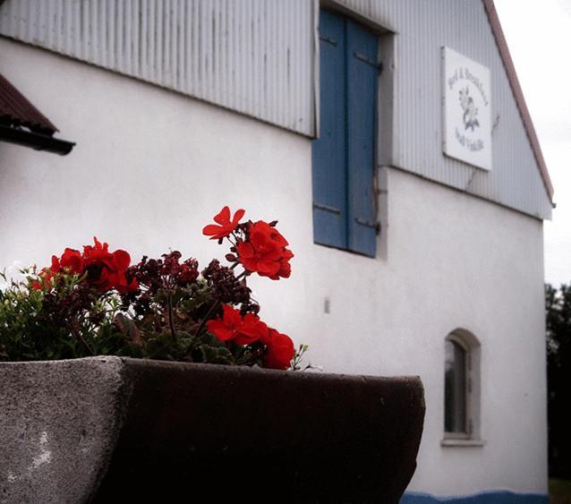 Bed & Breakfast Vinkille Löderup 외부 사진